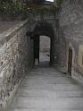 Photo 011